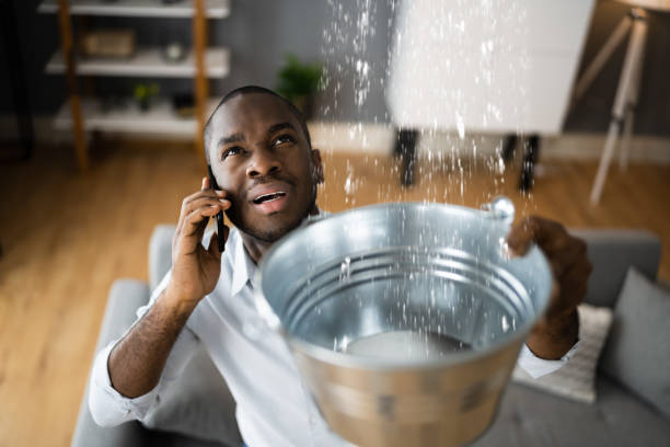 Best Water damage restoration near me  in Blackshear, GA