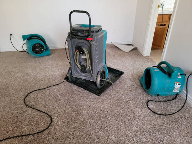 Best Commercial water damage restoration  in Blackshear, GA