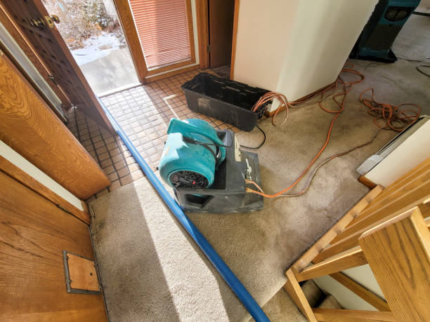 Best Water damage restoration company  in Blackshear, GA