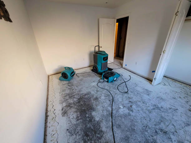 Best Basement water damage restoration  in Blackshear, GA