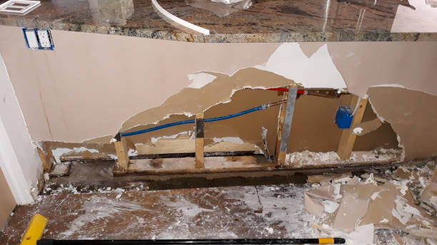 Best 24-hour water damage restoration  in Blackshear, GA
