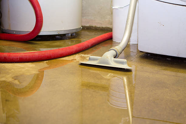 Best Flood damage cleanup  in Blackshear, GA