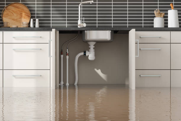 Best Residential water damage restoration  in Blackshear, GA