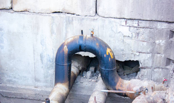Best Local water damage restoration  in Blackshear, GA