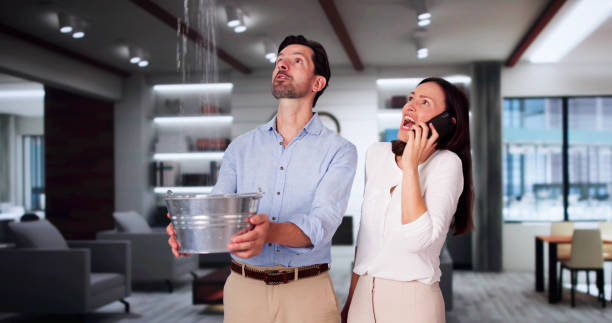 Best Water damage contractors near me  in Blackshear, GA