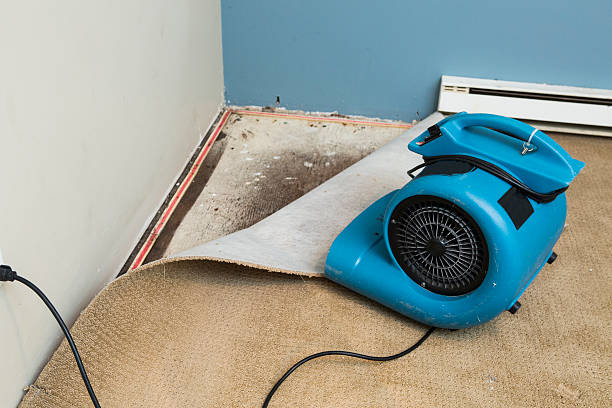Local water damage restoration in GA